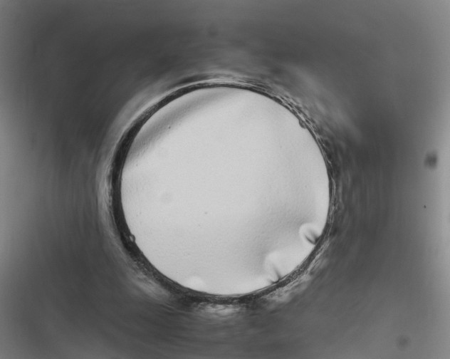 X0000116840247201001151253