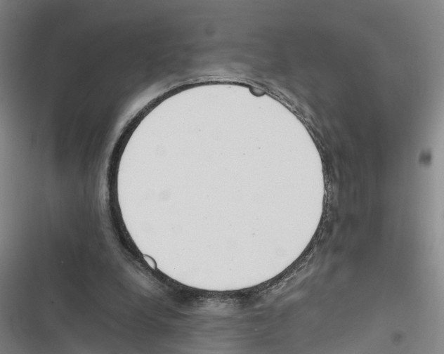 X0000116840248201001151253