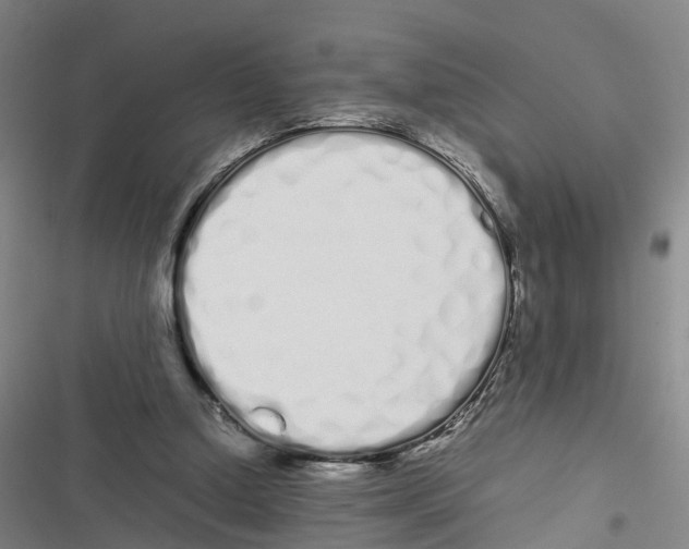X0000116840250201001151253