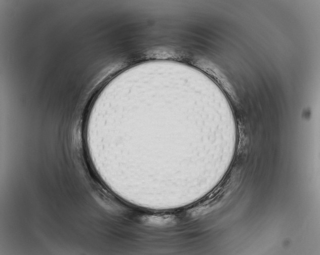 X0000116840251201001151253