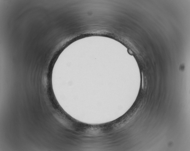 X0000116840252201001151253