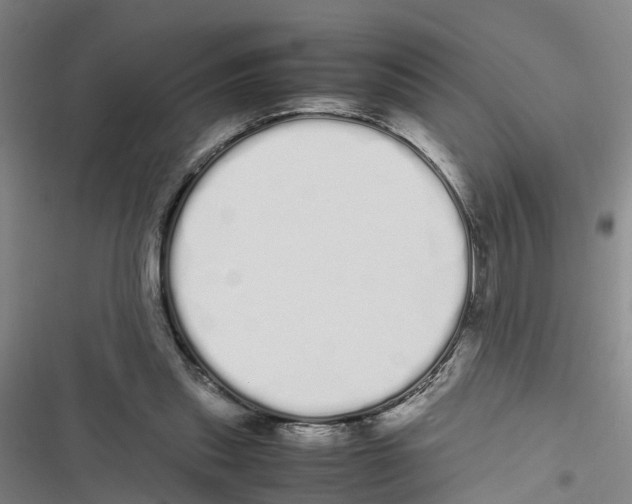 X0000116840253201001151253