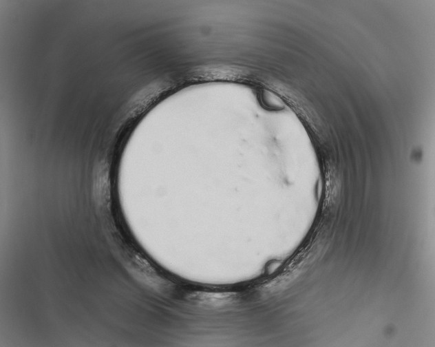 X0000116840254201001151253
