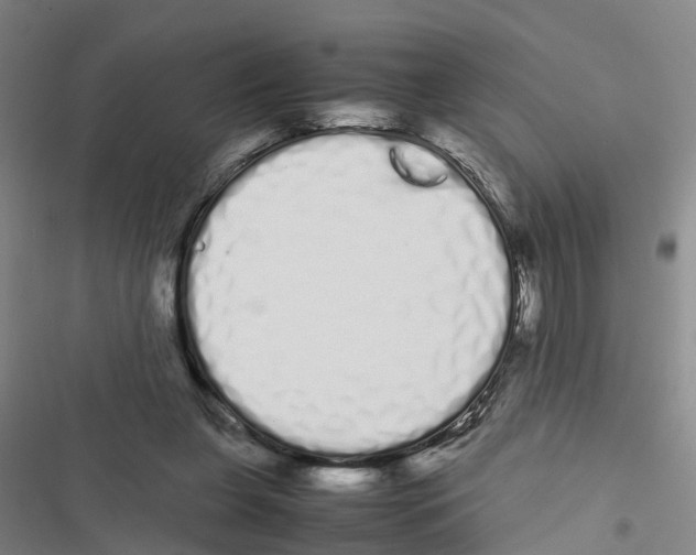X0000116840255201001151253