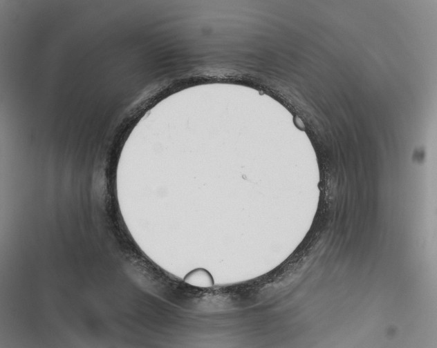 X0000116840256201001151253