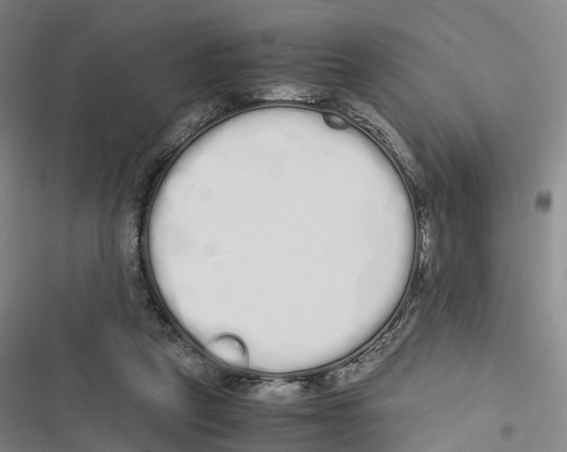 X0000116840257201001151253