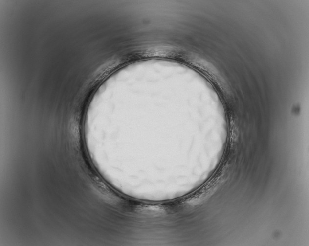 X0000116840258201001151253