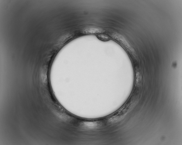 X0000116840259201001151253