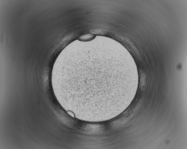 X0000116840260201001151253