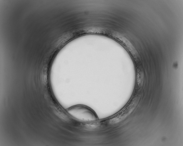 X0000116840261201001151253