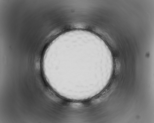 X0000116840262201001151253