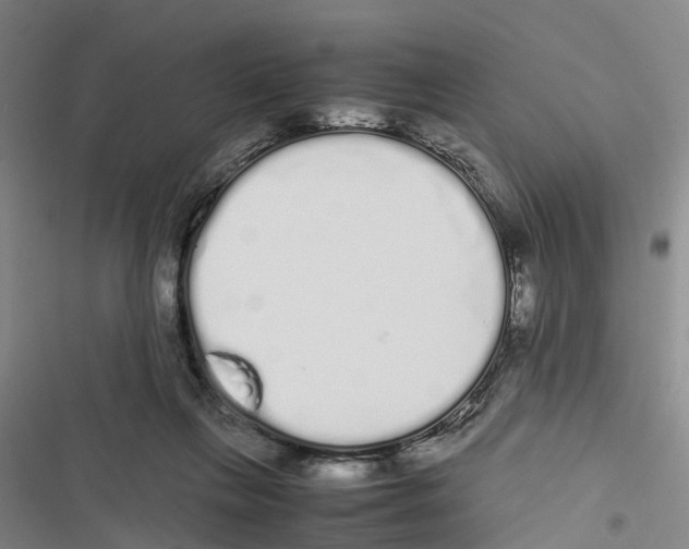 X0000116840263201001151253