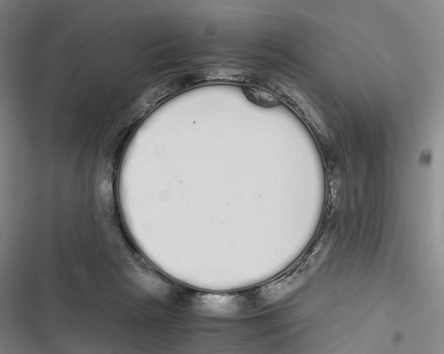 X0000116840265201001151253