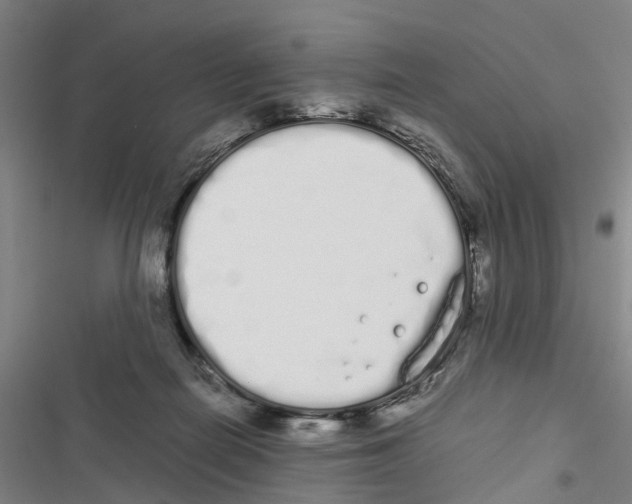 X0000116840266201001151253