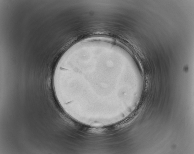 X0000116840269201001151253