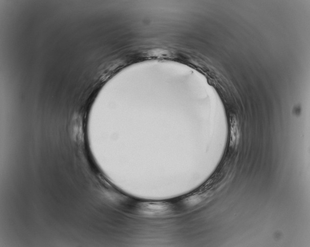 X0000116840270201001151253