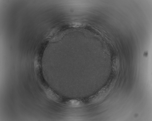 X0000116840272201001151253