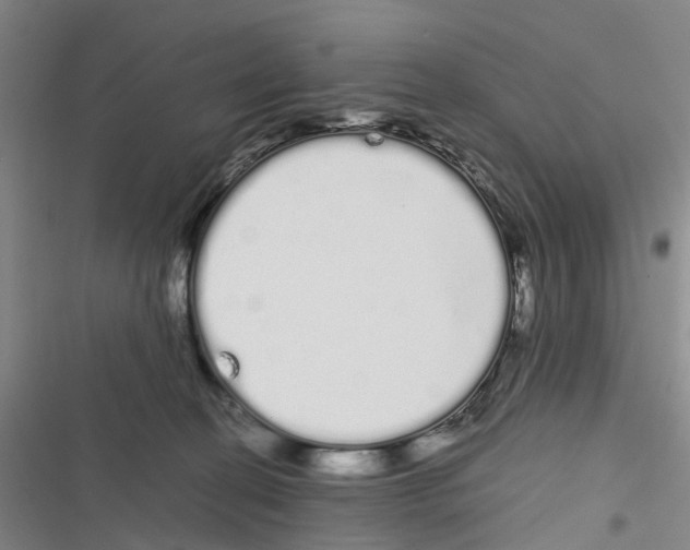 X0000116840274201001151253