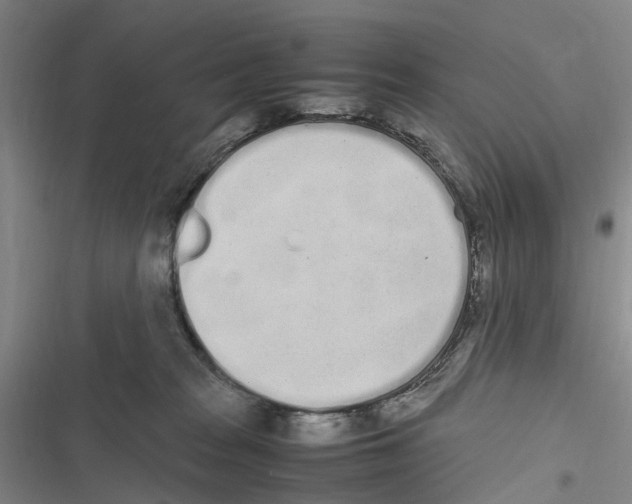 X0000116840277201001151253