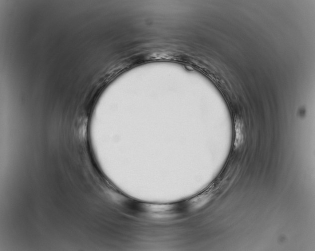 X0000116840278201001151253