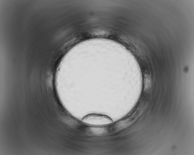 X0000116840279201001151253