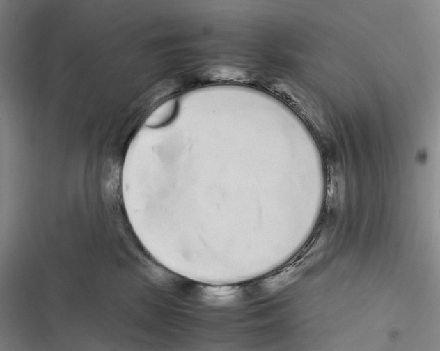 X0000116840281201001151253
