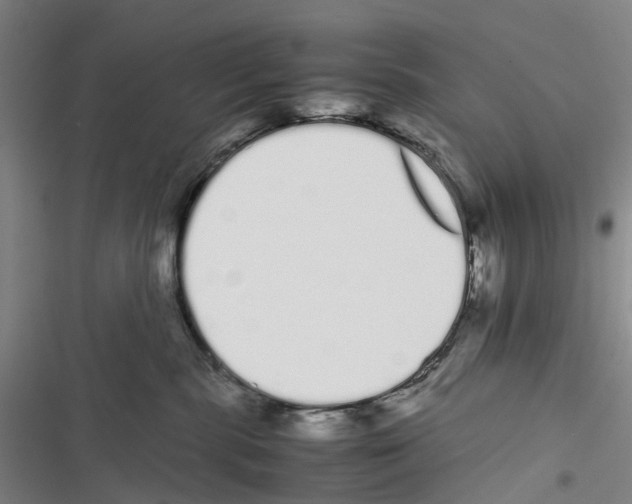 X0000116840283201001151253