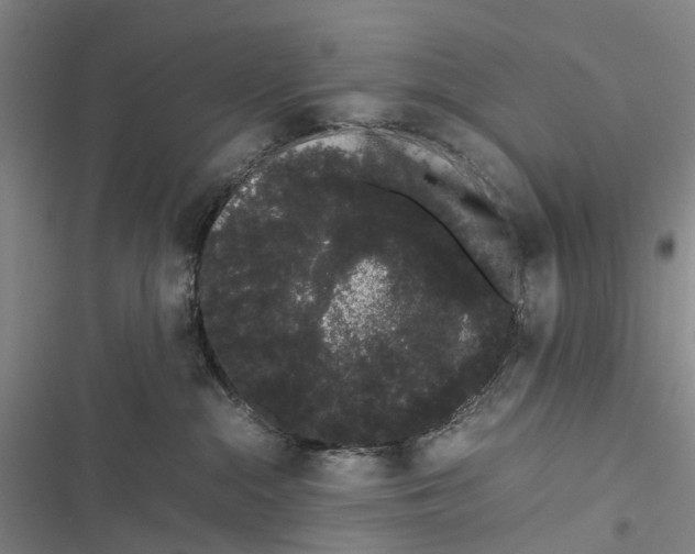X0000116840284201001151253