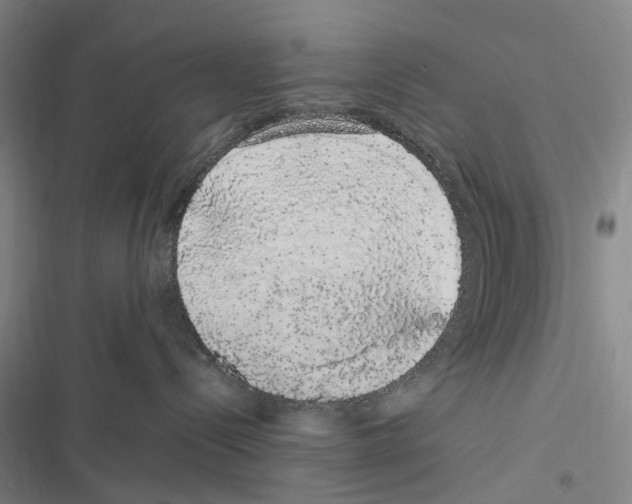 X0000116840288201001151253