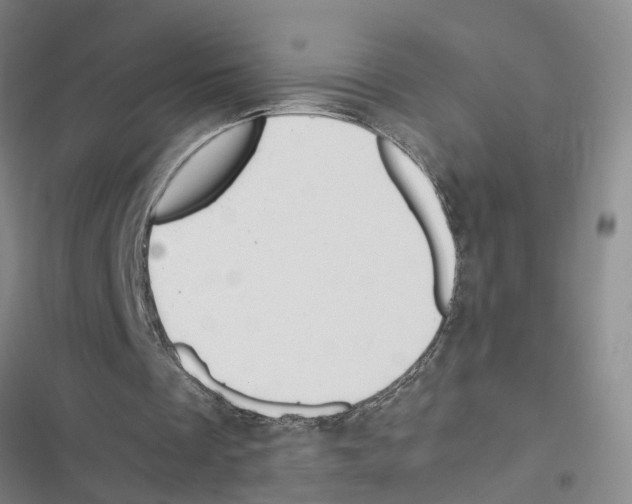 X0000116840289201001151253