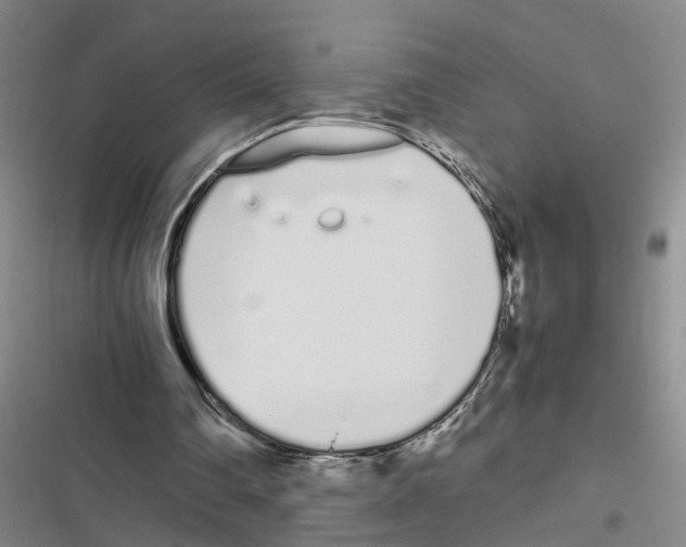X0000116840290201001151253