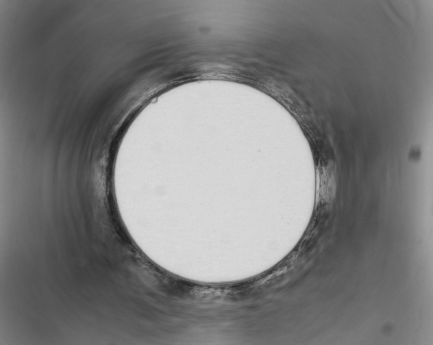 X0000116840291201001151253