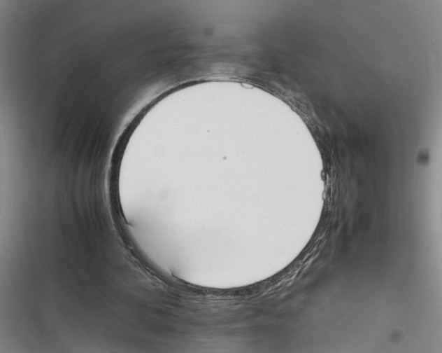 X0000116840292201001151253
