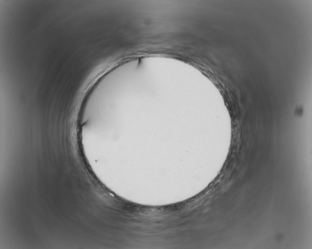 X0000116840293201001151253
