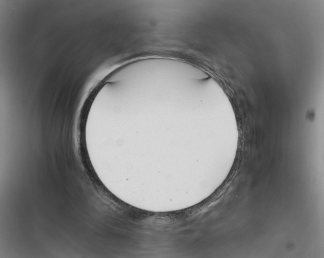 X0000116840294201001151253