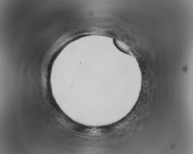 X0000116840295201001151253