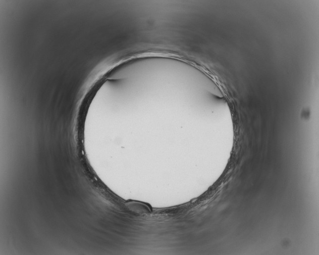 X0000116840296201001151253