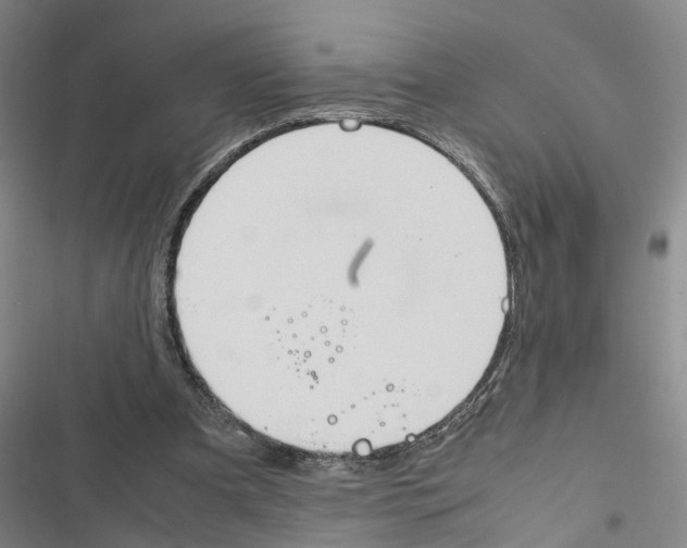 X0000116840297201001151253