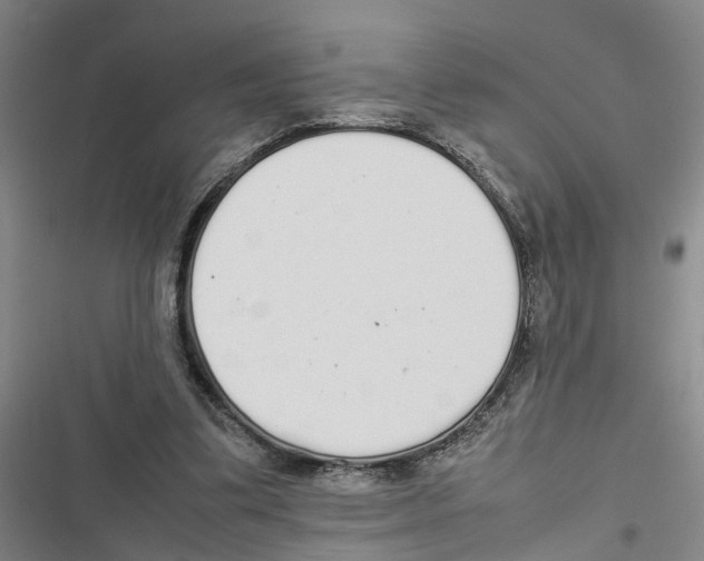 X0000116840299201001151253