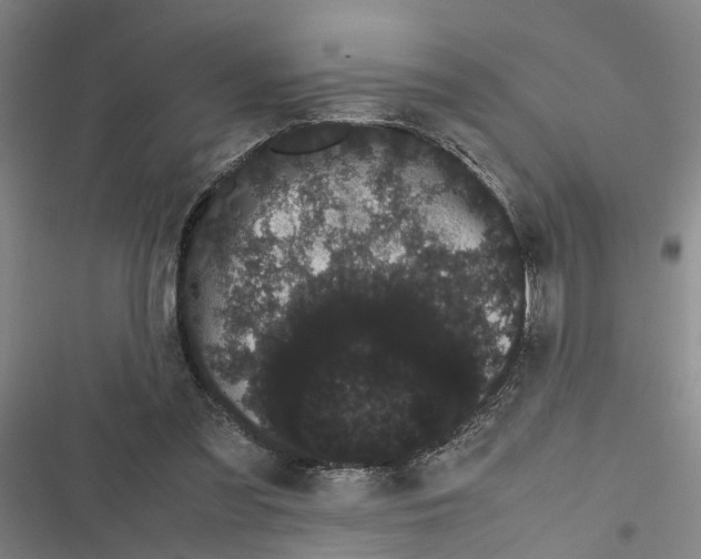 X0000116840301201001151253