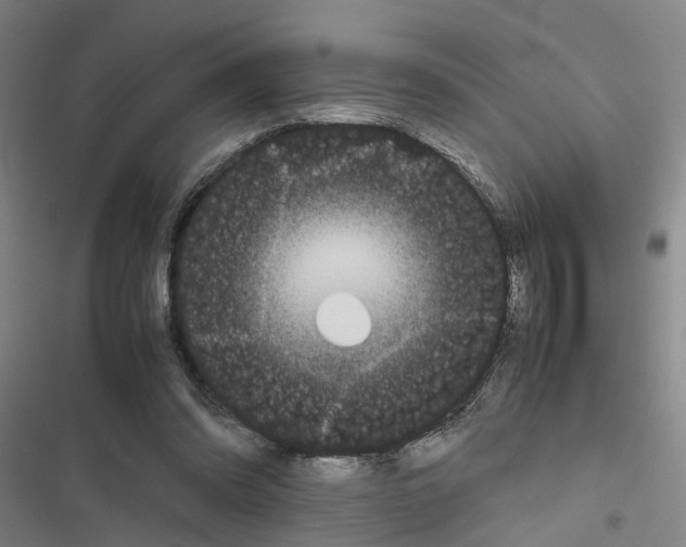 X0000116840302201001151253