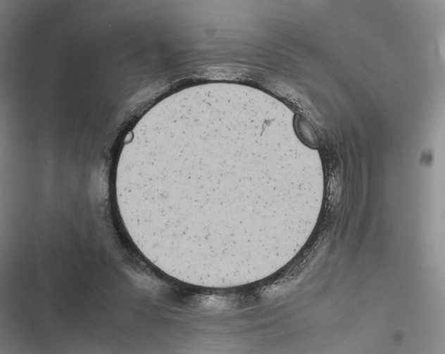 X0000116840303201001151253