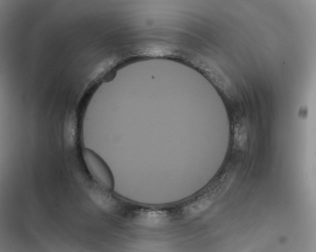 X0000116840304201001151253