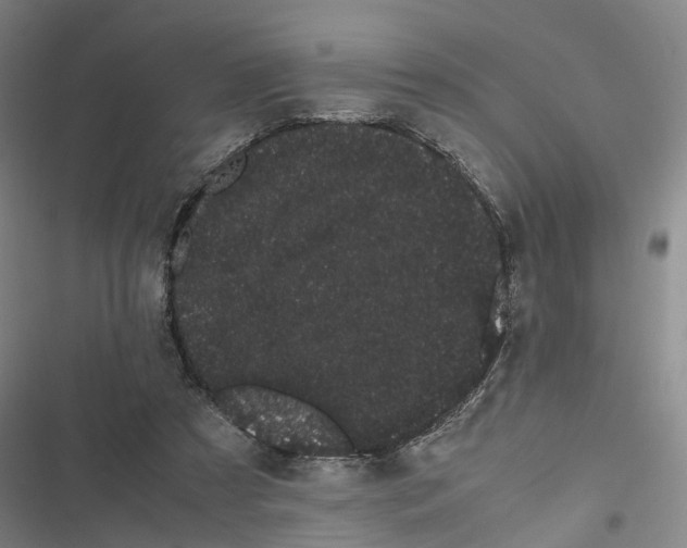 X0000116840305201001151253