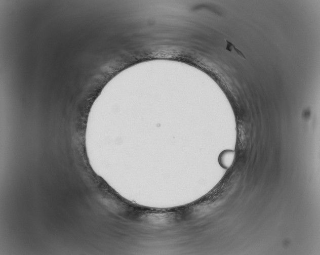X0000116840307201001151253