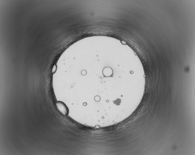X0000116840309201001151253