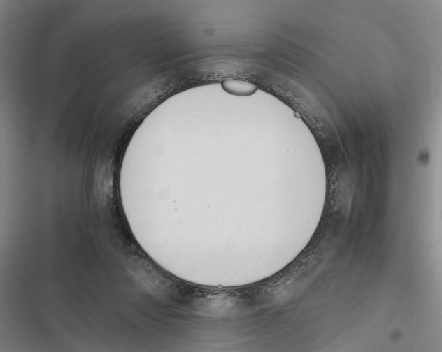 X0000116840310201001151253