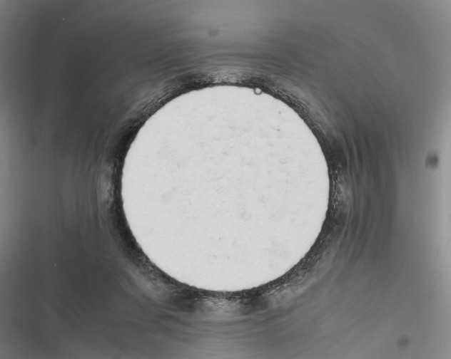 X0000116840311201001151253