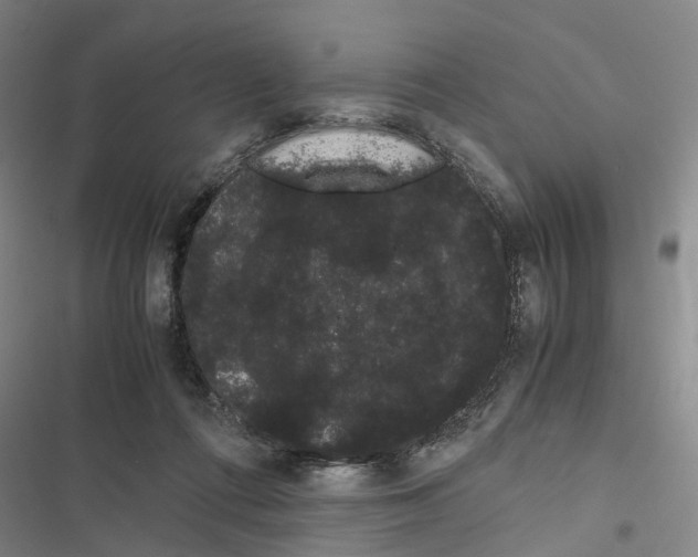X0000116840312201001151253