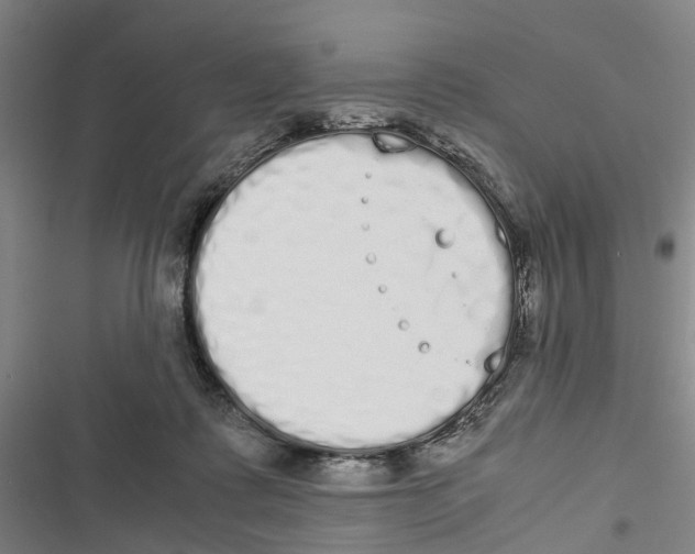 X0000116840315201001151252
